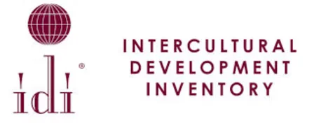 value-learning-idi-small